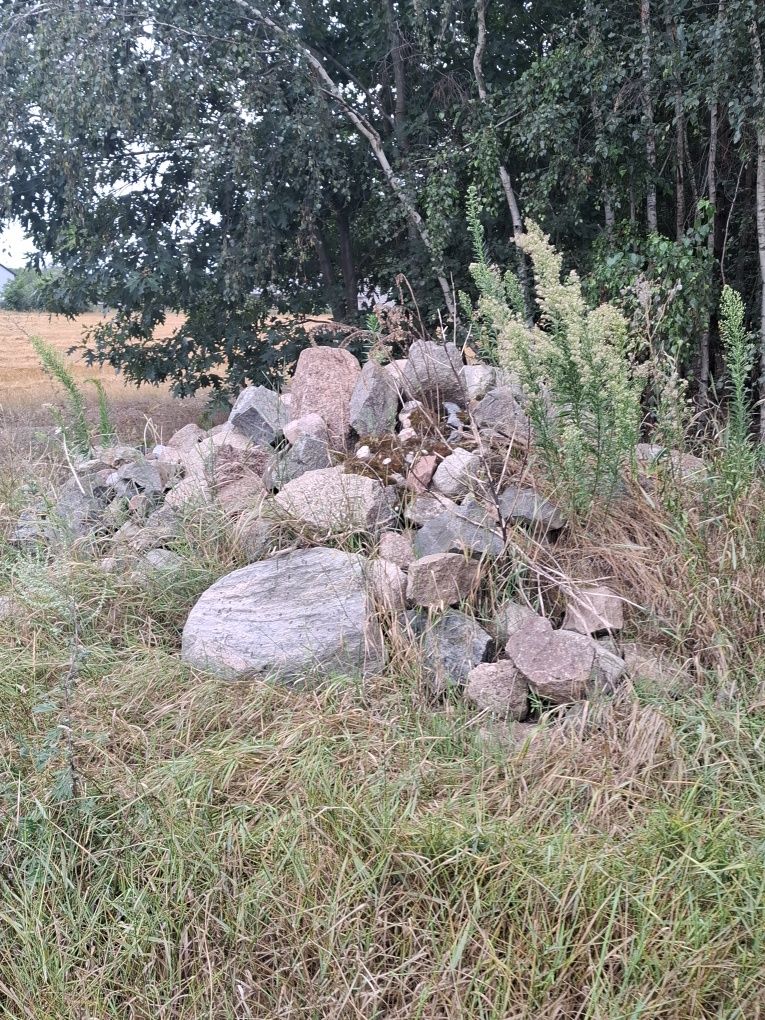 Kamienie polne sprzedam