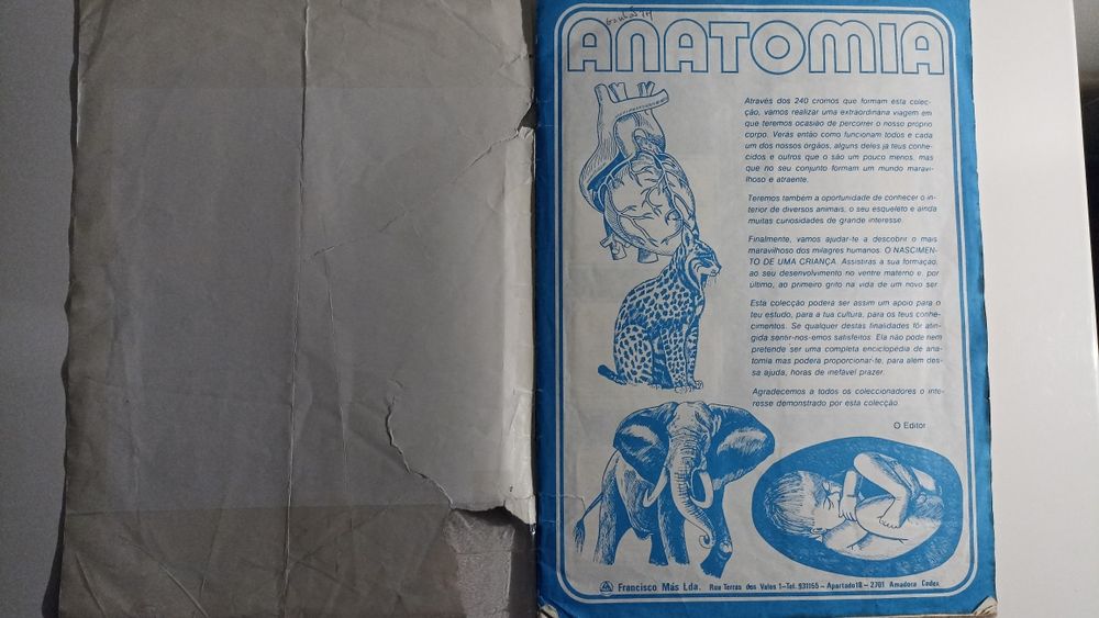 Caderneta Anatomia coleção didática de 240