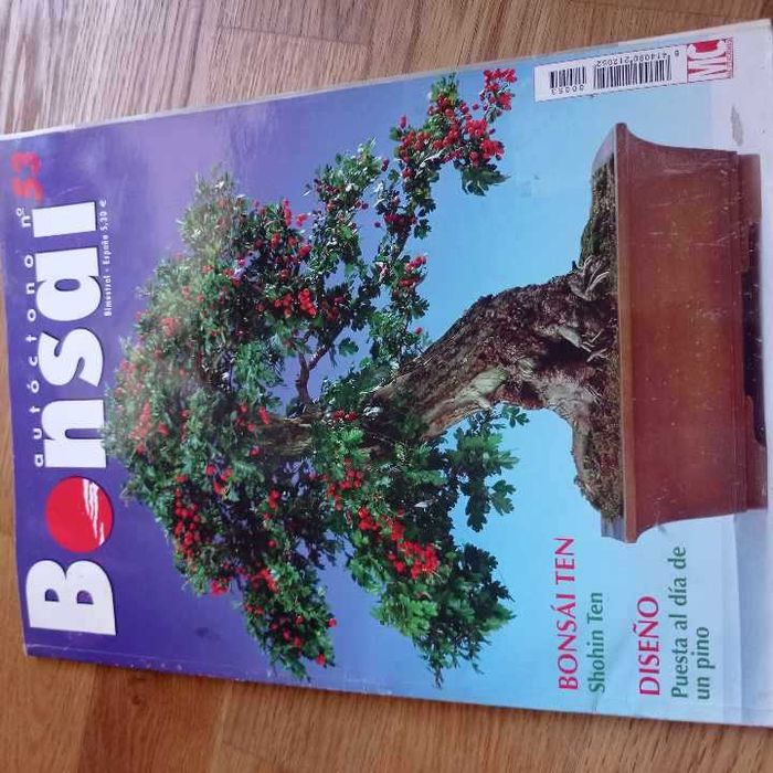 4 revista Bonsai rara
