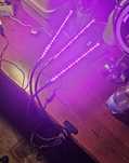 Lampa dla roślin led