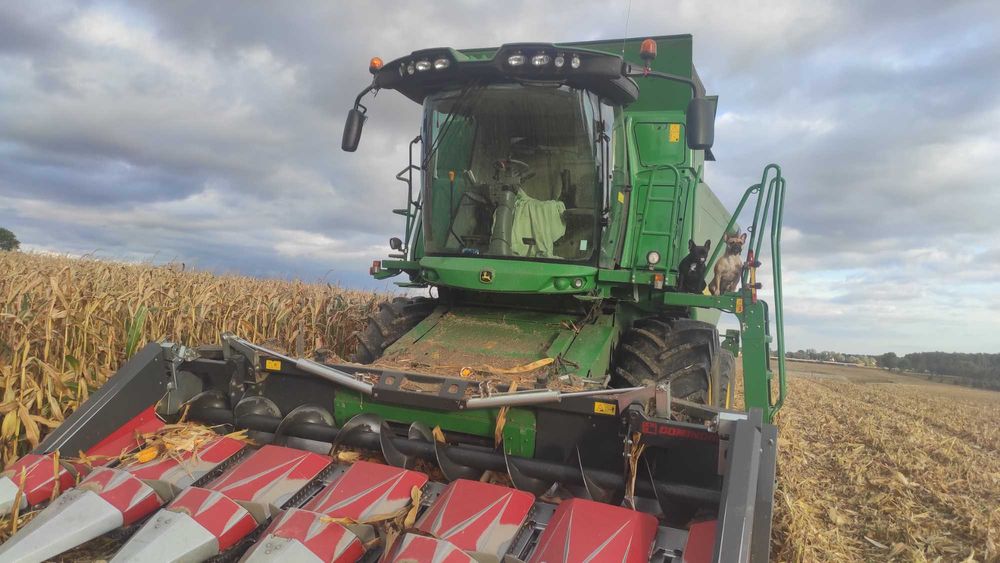 Przystawka do kukurydzy Dominoni do John Deere, Geringhoff oraz Olimac
