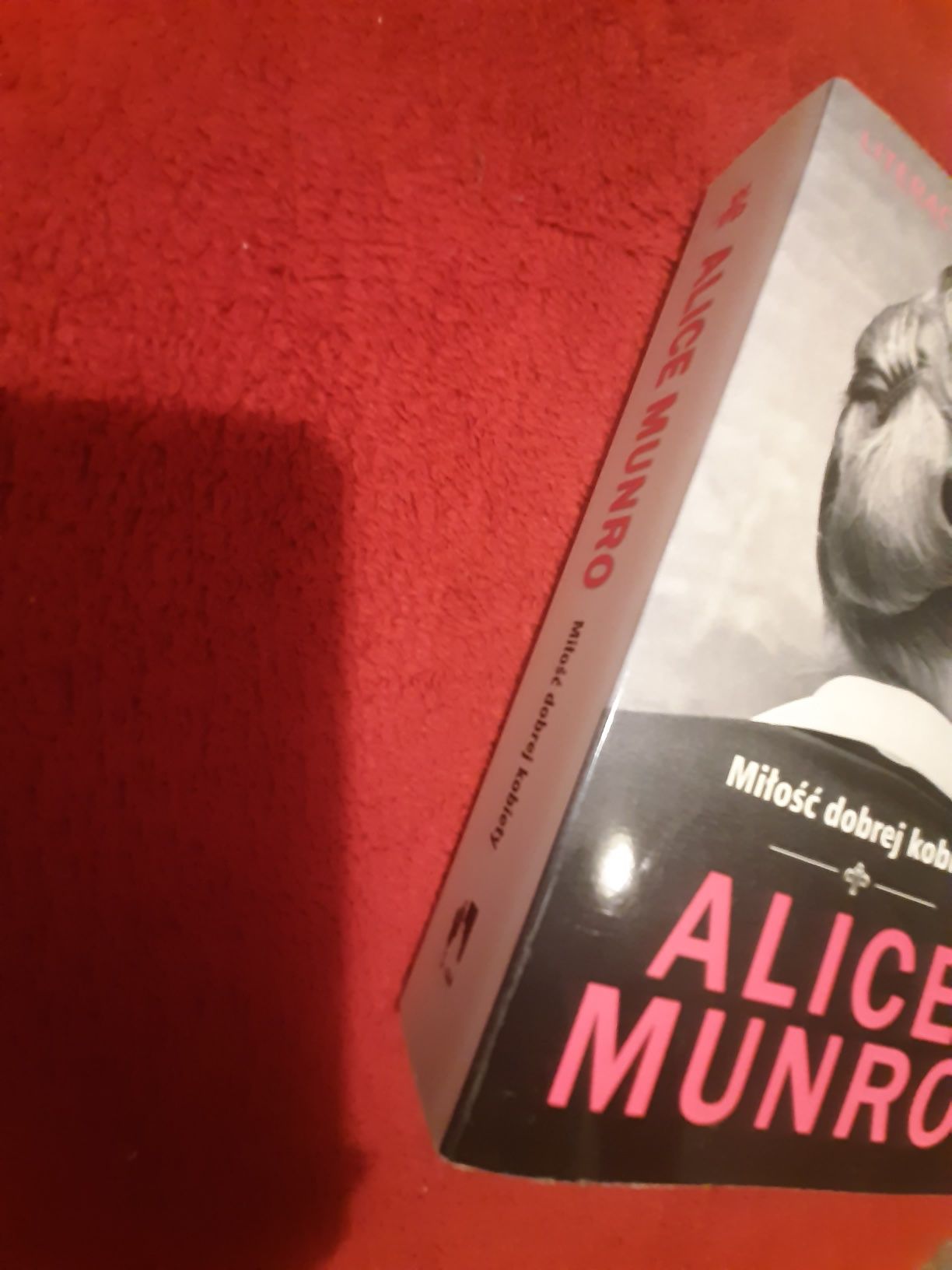 Alice Munro Miłość Dobrej Kobiety (BRPGR)