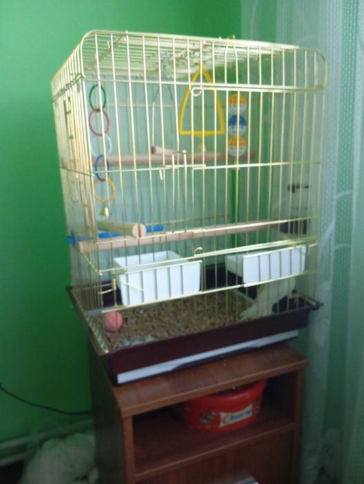Клітка для папуги