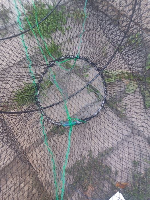 Раколовка бочка 50*110 см, рачница, уловистая, корд.