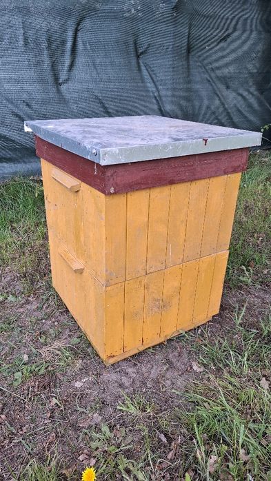 Ul wielkopolski kompletny