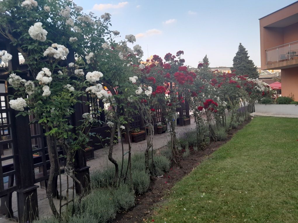 Okazja!! Apartament Słoneczny Brzeg 4-7 osób baseny-zjeżdżalnie