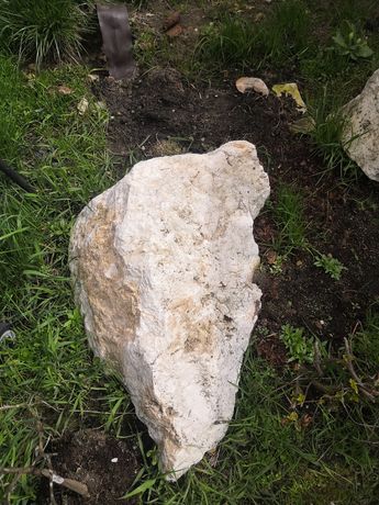 Kamienie wapienne na skalniak
