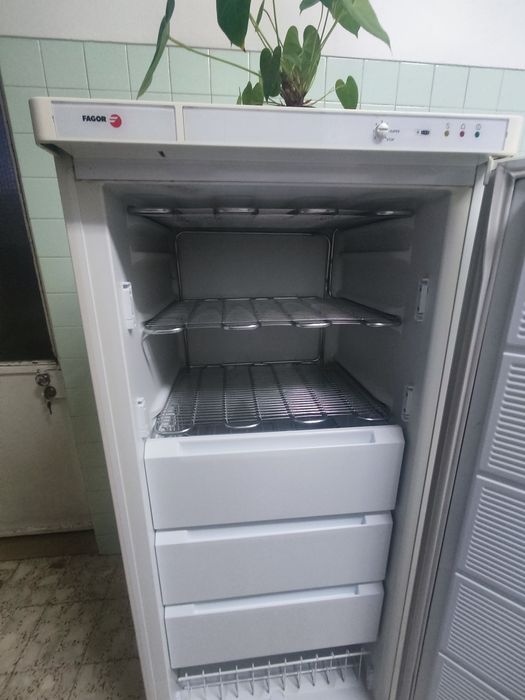 Arca congeladora vertical Fagor