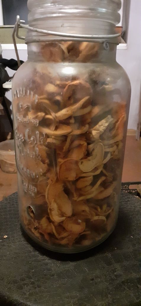 Продам домашню сушку з яблук