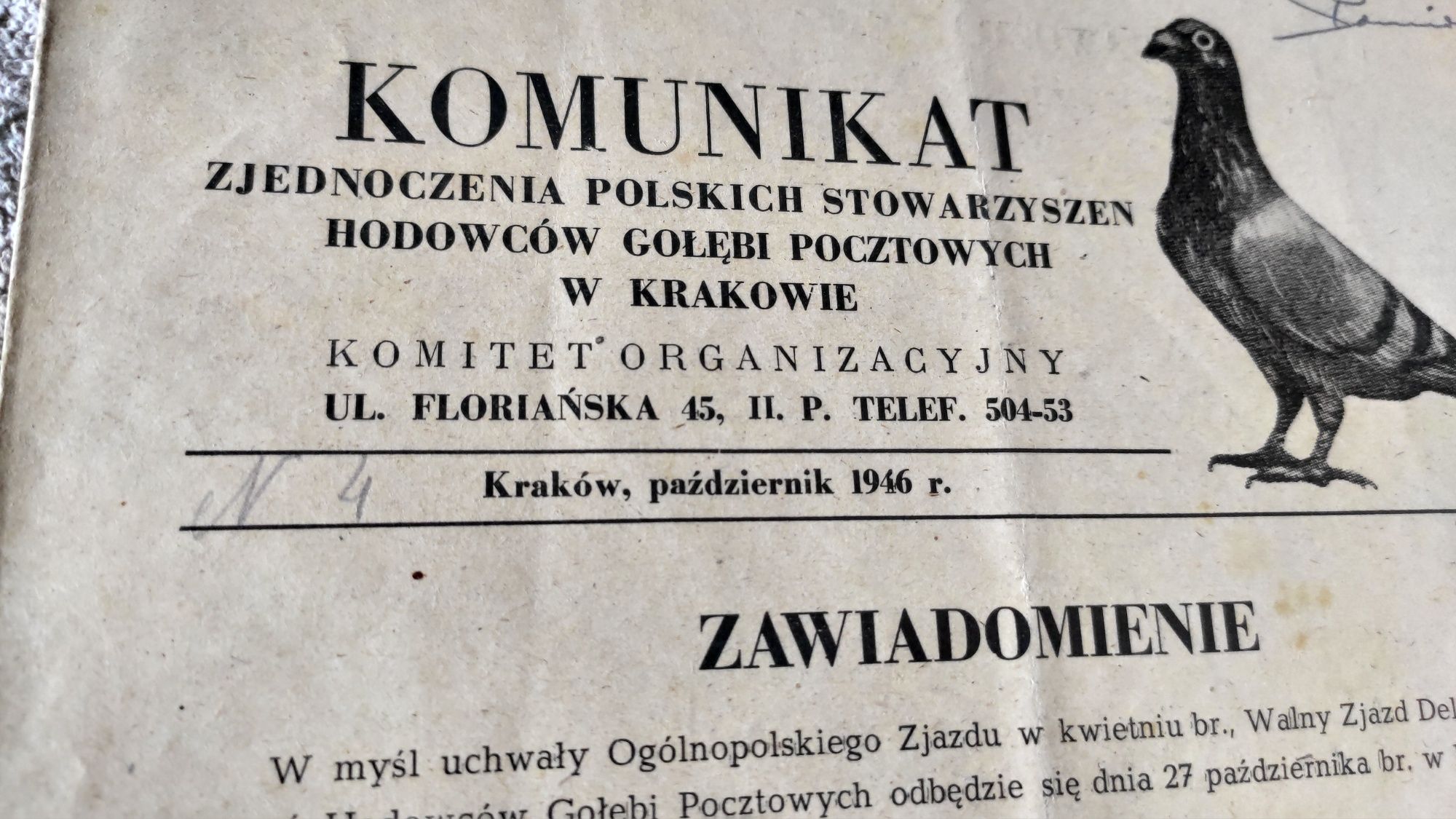 Hodowca gołębi pocztowych rok 1947.