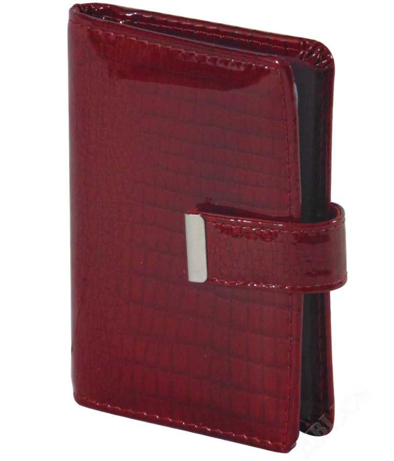 Wizytownik Etui na dokumenty ze skóry lakierowanej JENNIFER JONES 5244