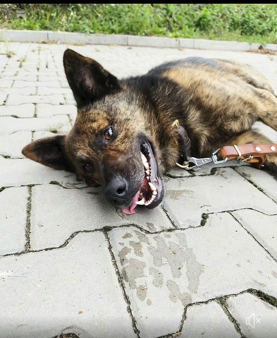 Kolejny rok bez domu. Dobry człowiek poszukiwany