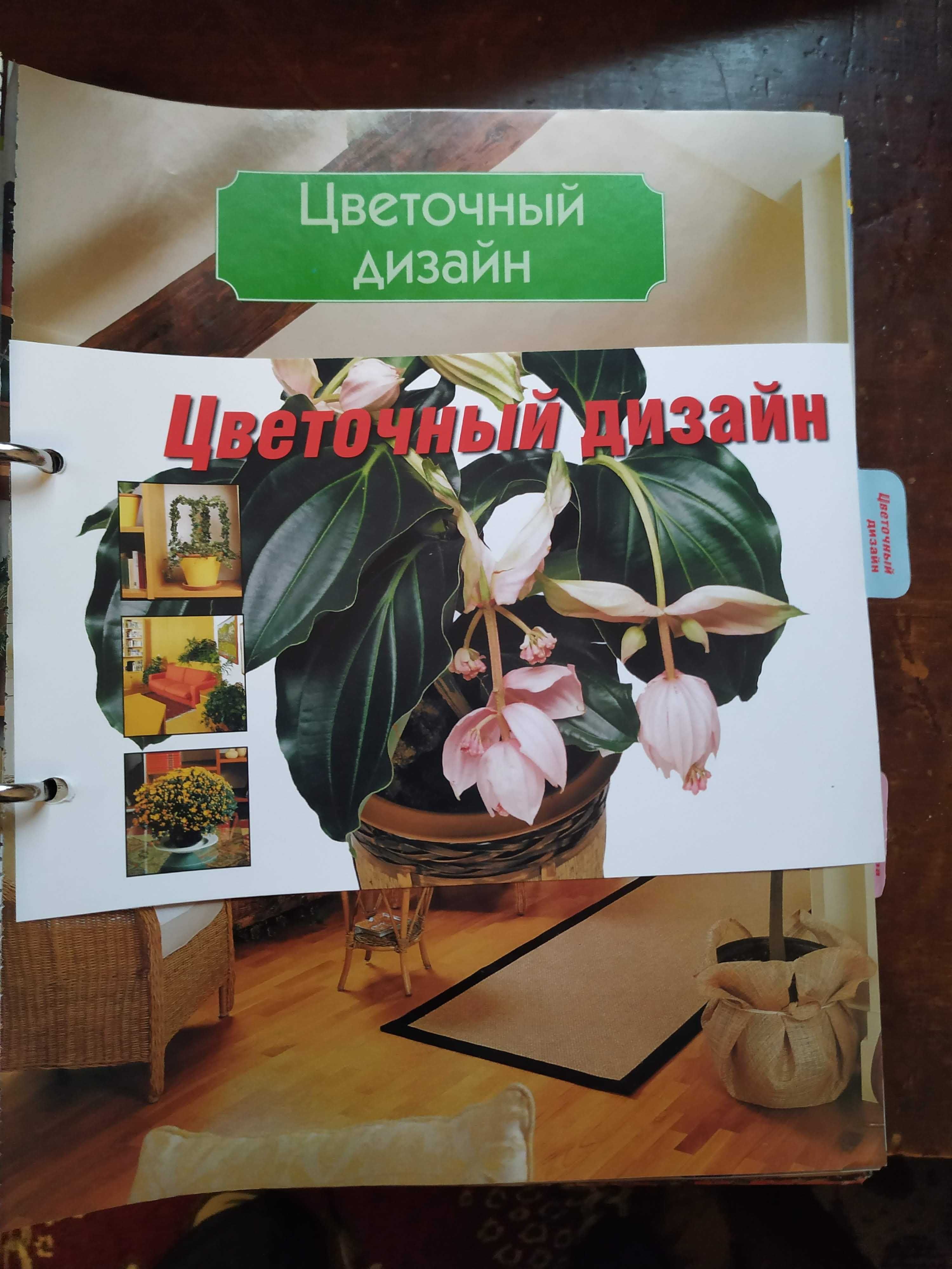 набор журналов " комнатные и садовые растения"