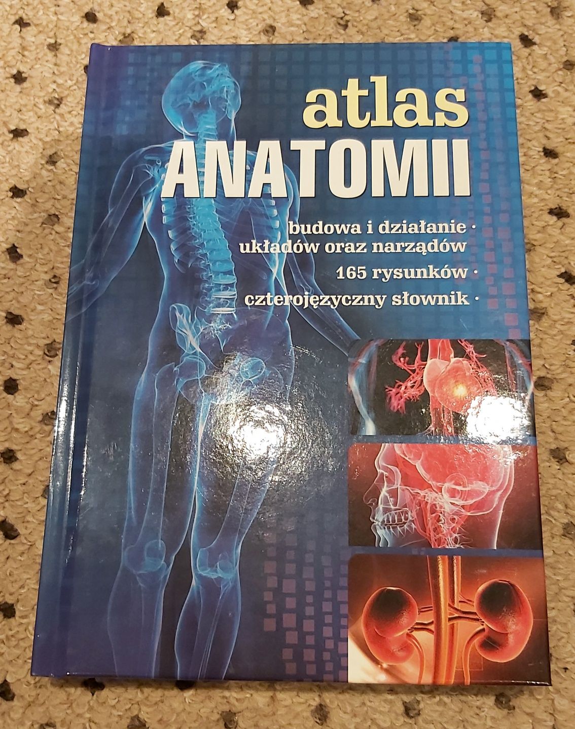 Atlas Anatomii - 165 rysunków