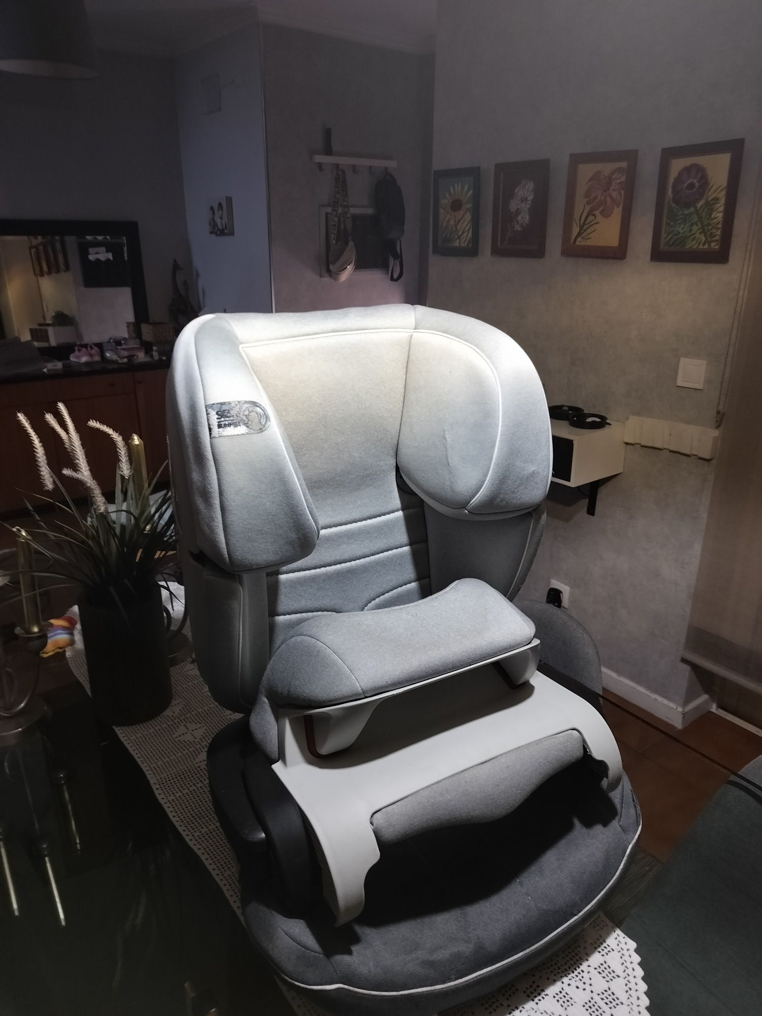 Cadeira bebe carro
