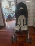Carrinho de passeio