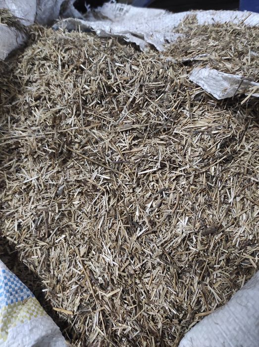 Костра конопель та льону