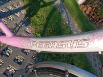 Rower Pegasus 28 cali