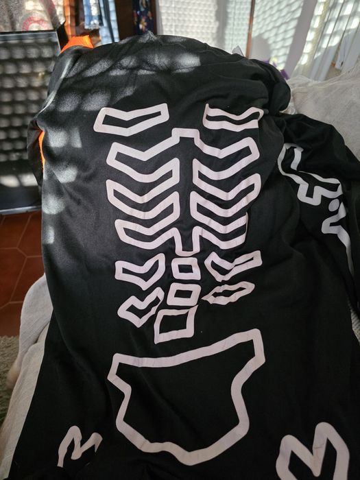 Fatos de carnaval ou halloween