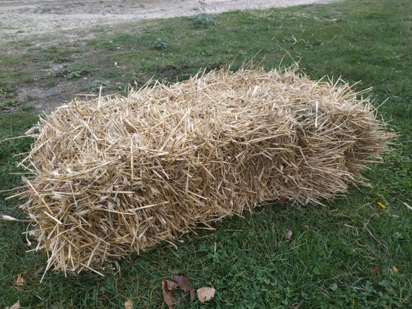 Продам тюки соломи
