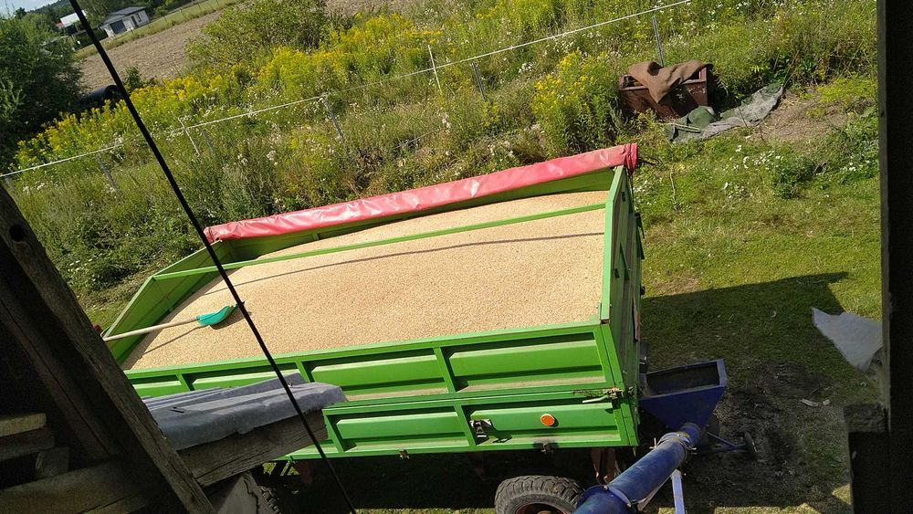 Przyczepa Autosan D-47B zarejestrowana ubezpieczona w pełni sprawna