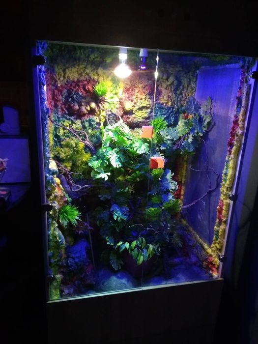 Sprzedam terrarium
