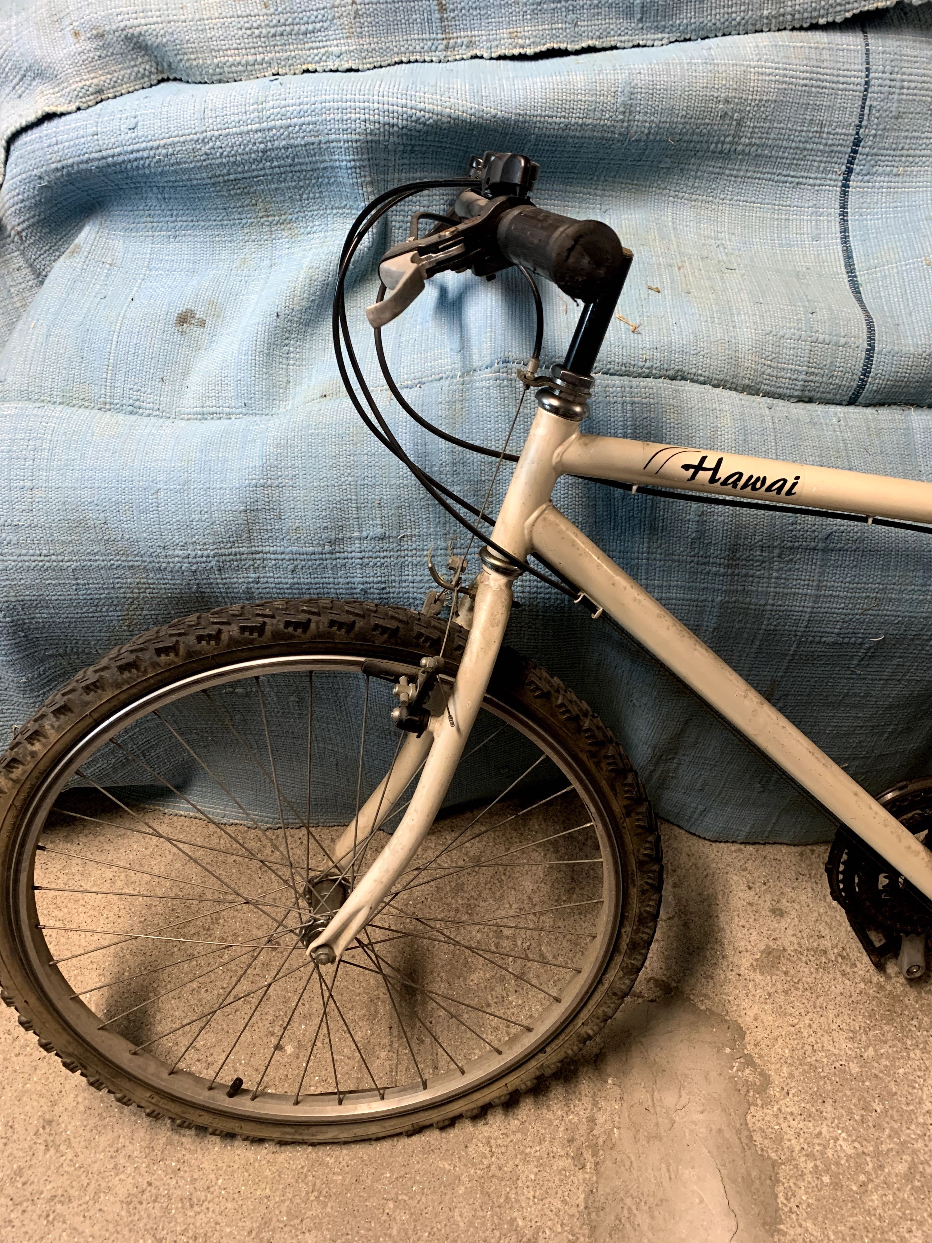 Bicicleta Simples