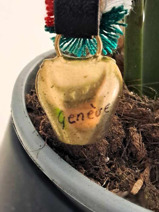 Porta-chaves Vintage Sino Suíça-Geneve