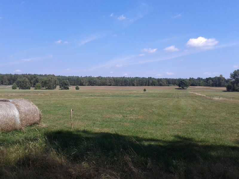 Działka nr 19/1 niedaleko jeziora NIEWLINO 3800 m2 - Nobliny Ostroróg