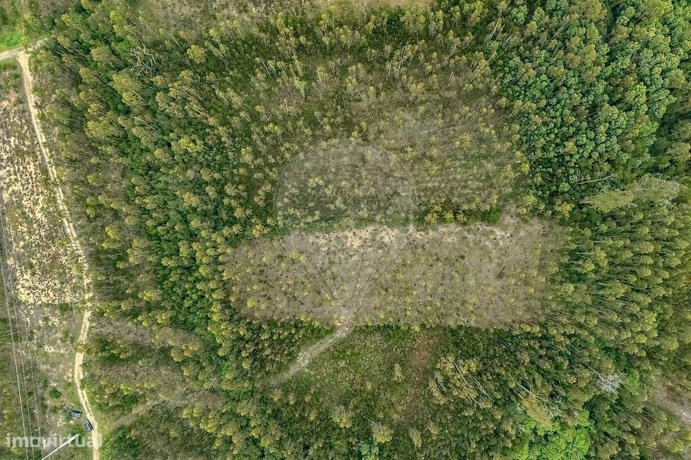 Terreno  para venda