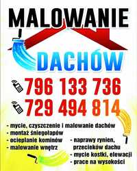 Malowanie Dachów