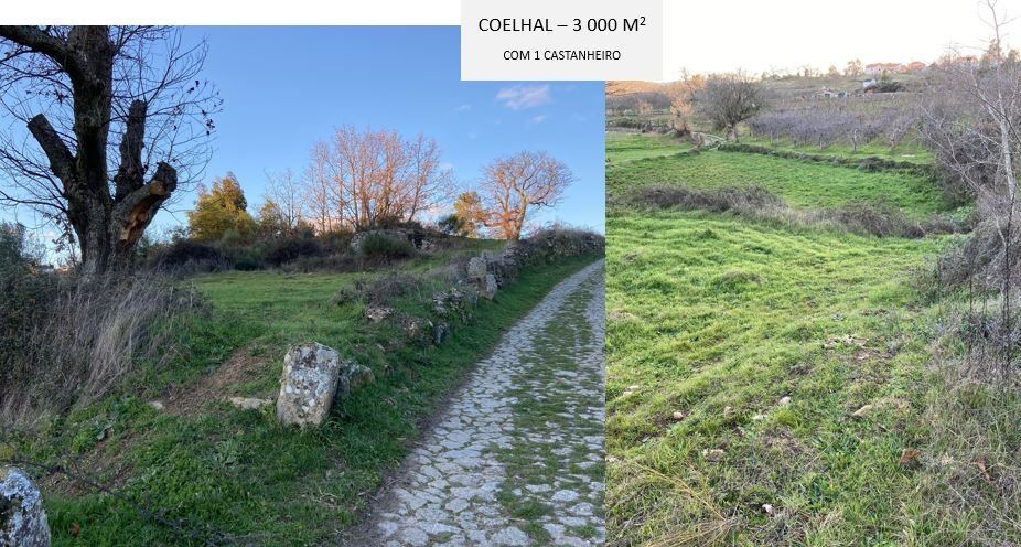 Terrenos rústicos para venda em Paredes da Beira, S. João da Pesqueira