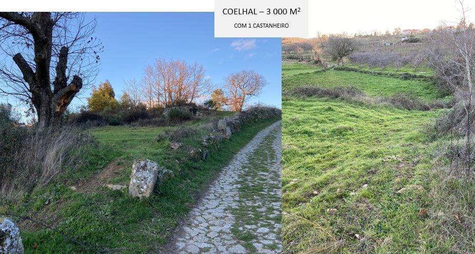 Terrenos rústicos para venda em Paredes da Beira, S. João da Pesqueira