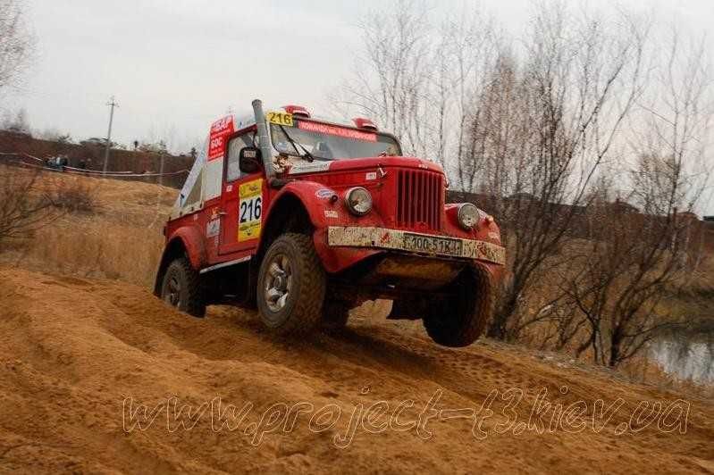 продається бойовий кінь!