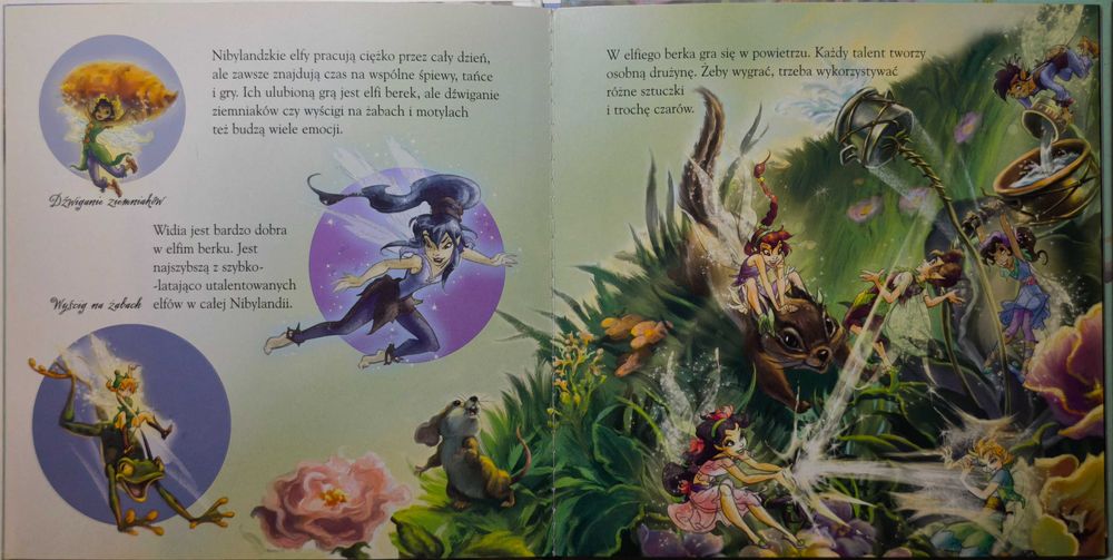 Disney Wróżki. Elfy z Nibylandii
