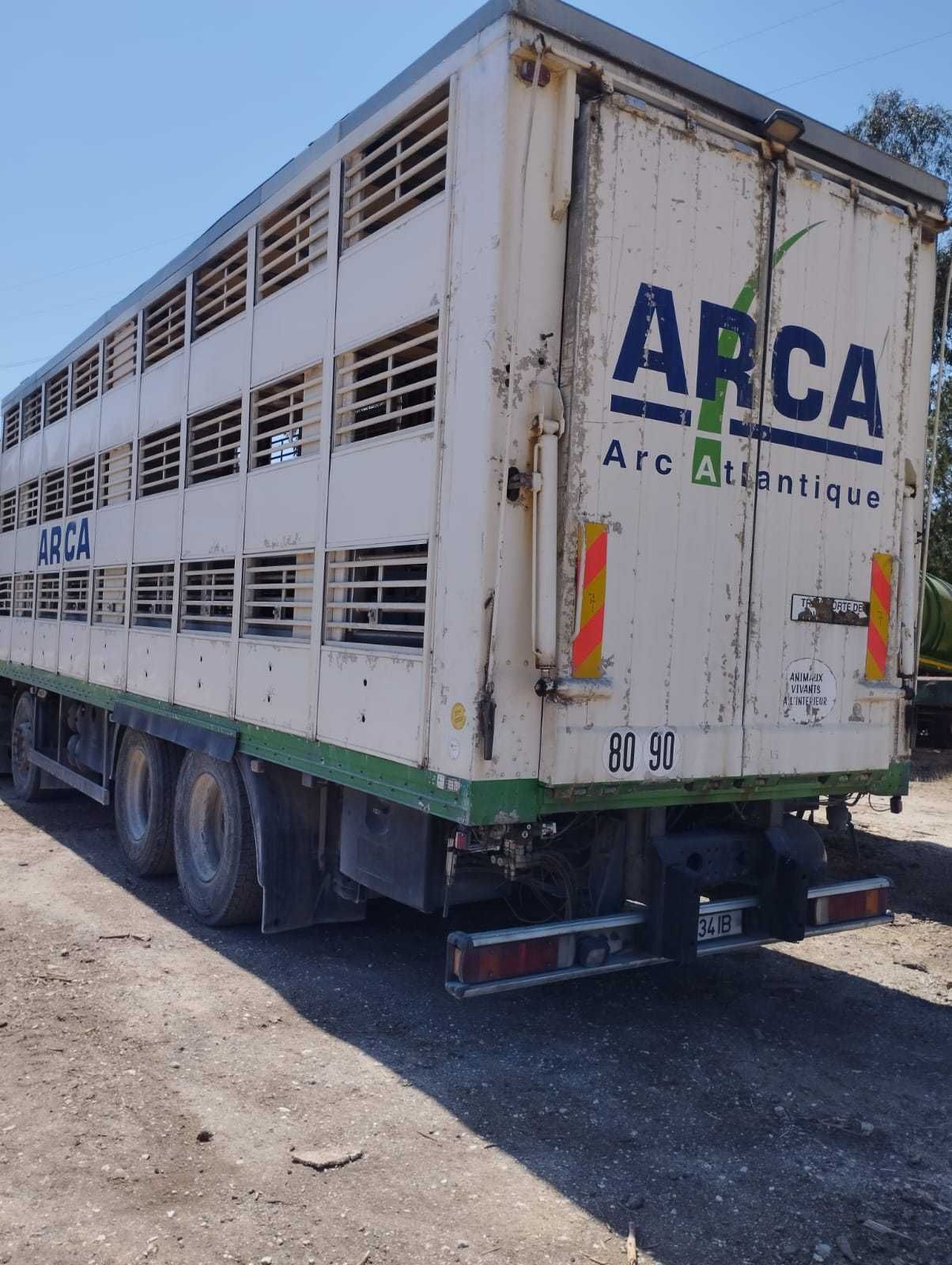 Scania transporte de animais vivos