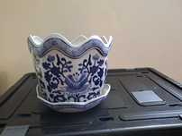 Vasos de plantas