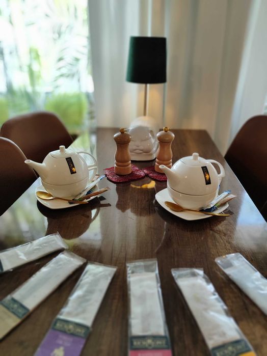 OLX Zielony Zakątek Apartament na Doby