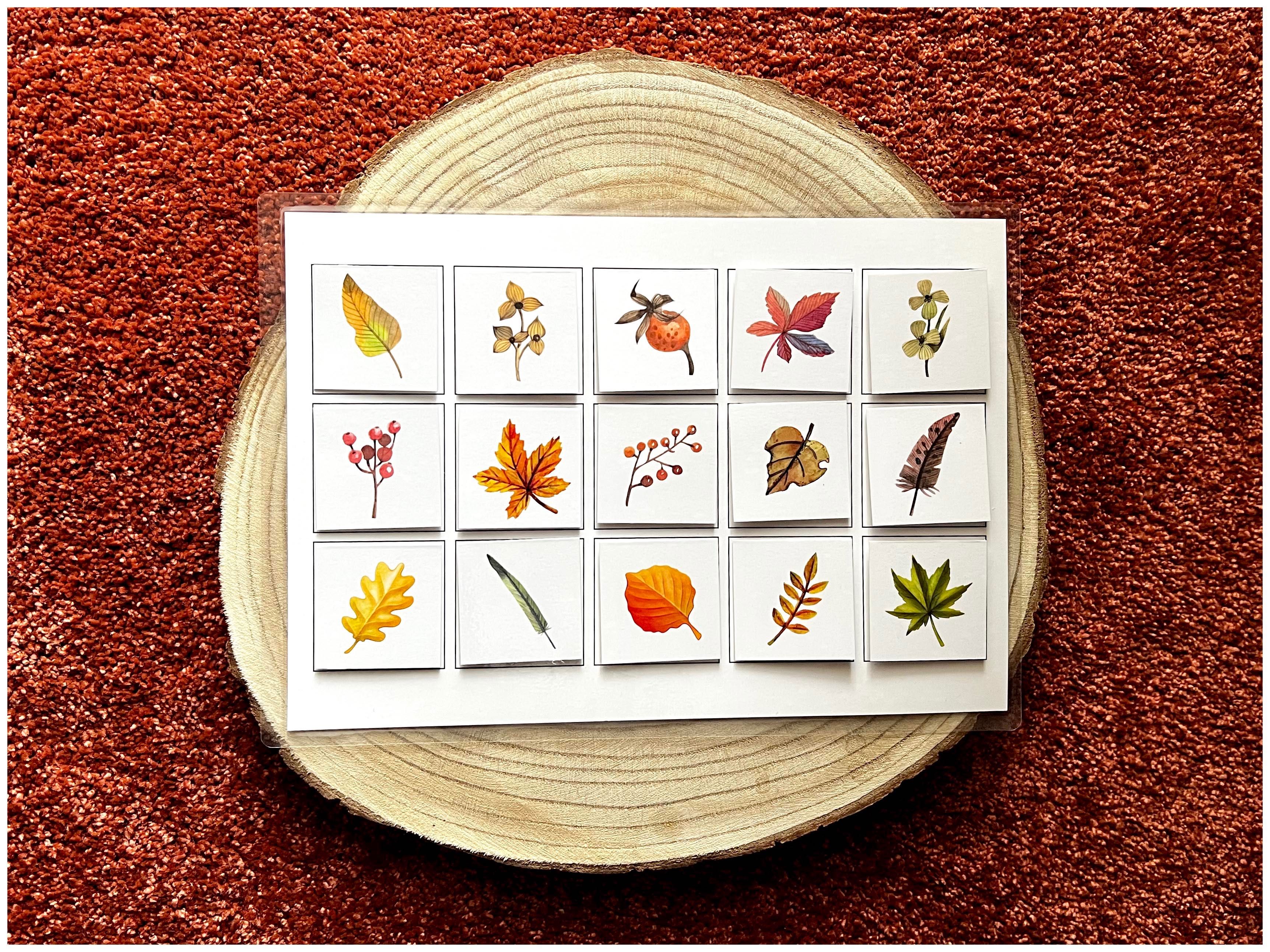 Folhas - Jogo das Sobras - Montessori