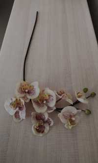 Цветы латекс, силикон: Тюльпаны Орхидея Цимбидиум