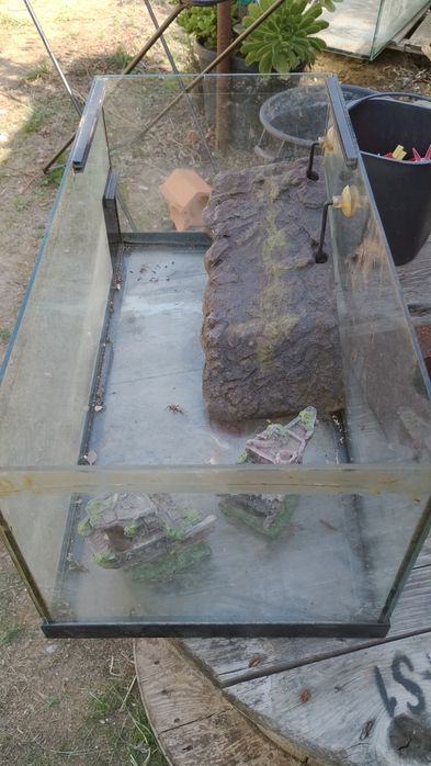 Vendo aquario para tartaruga