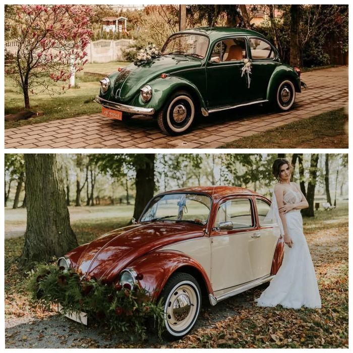 Auto na wesele - Weselny Klekot - samochód na wesele / imprezy