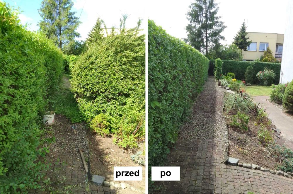 Wycinka drzew, obcinanie żywopłotów, koszenie