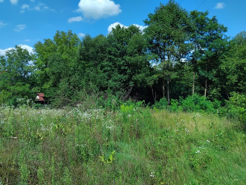 Продаю земельну ділянку Свалява Закарпатської
