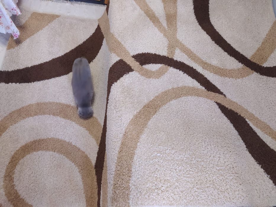 Килим 3*2 метри.