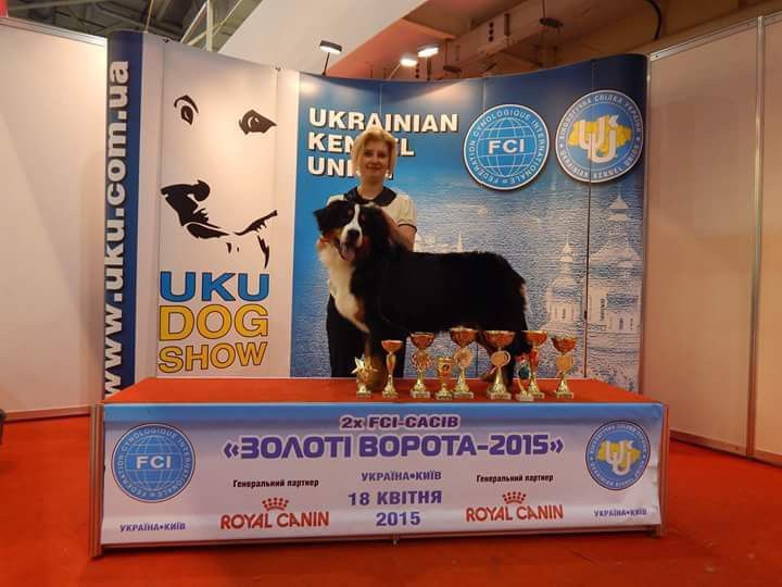 Хлопчик бернський зененхунд