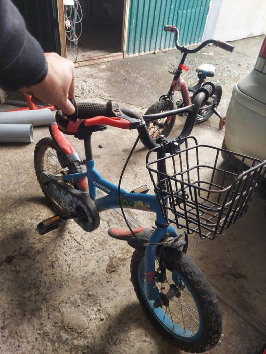 Віддам безкоштовно