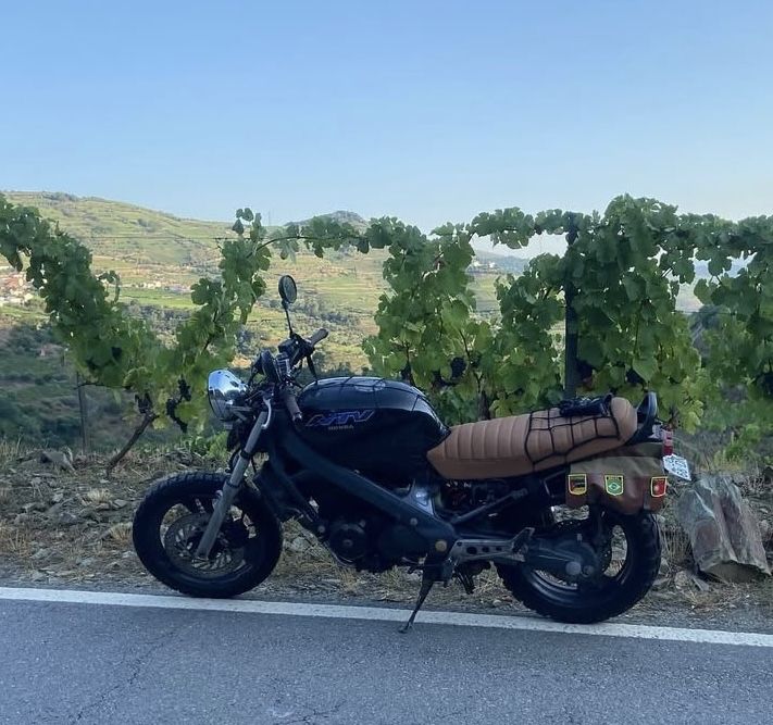 Honda NTV 650 “Scrambler”