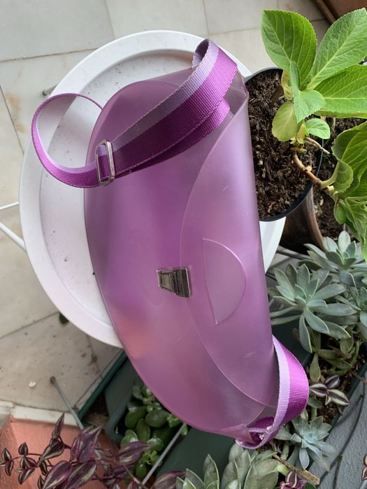 Carteira marca Gio transparente