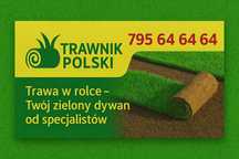 PROMOCJA 40 M2 Trawa w rolce, trawa z rolki, trawa, TRAWNIK POLSKI